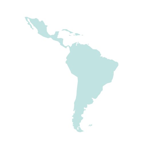 Latin America & Caribbean