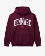 Denmark Collegiate Flag Hoodie