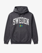 Sweden Collegiate Flag Hoodie