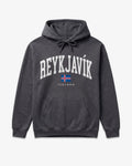 Reykjavik Collegiate Hoodie