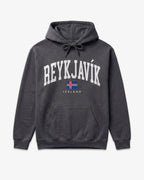 Reykjavik Collegiate Hoodie