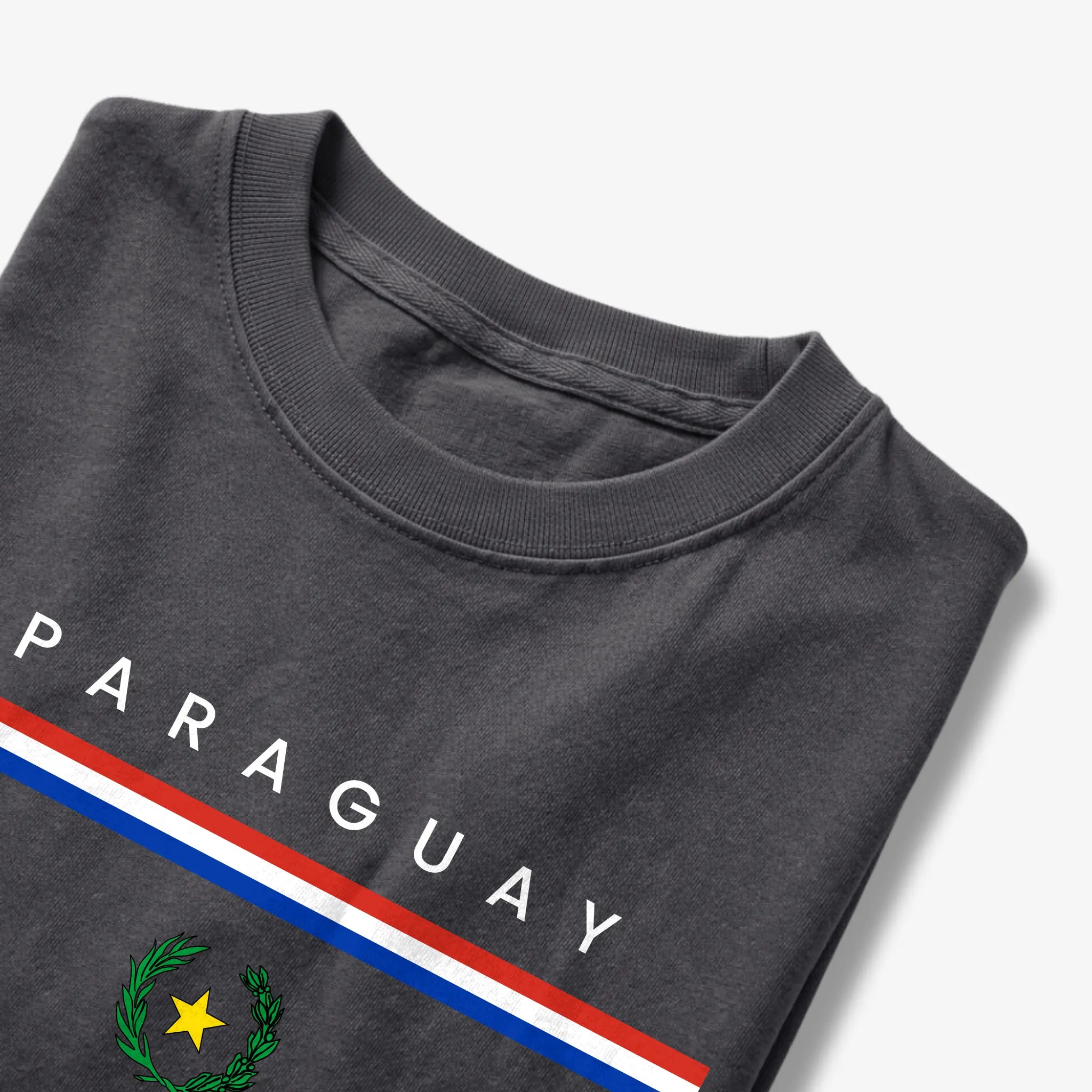 Paraguay Flagline T-Shirt