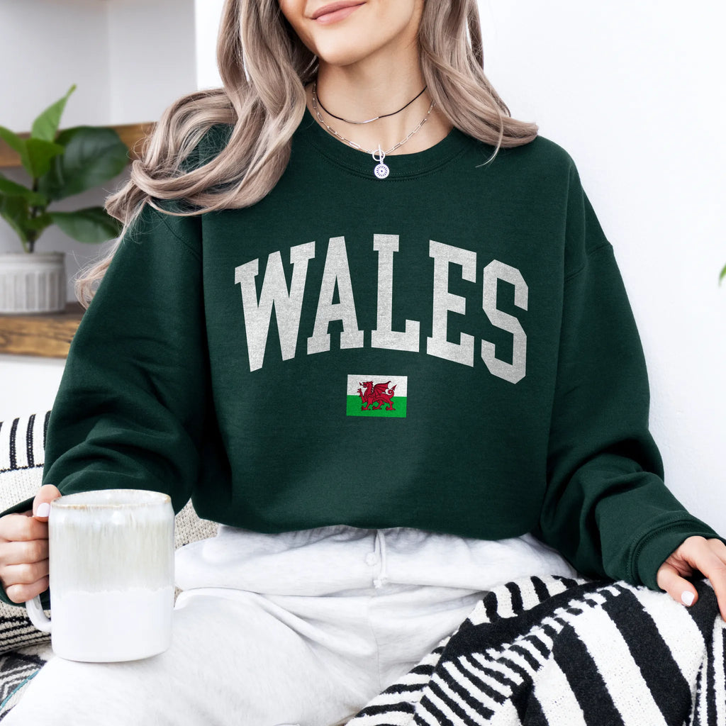 Wales Collegiate Flag Sweatshirt