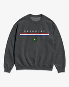 Paraguay Flagline Sweatshirt
