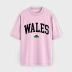 Wales Collegiate Flag T-Shirt