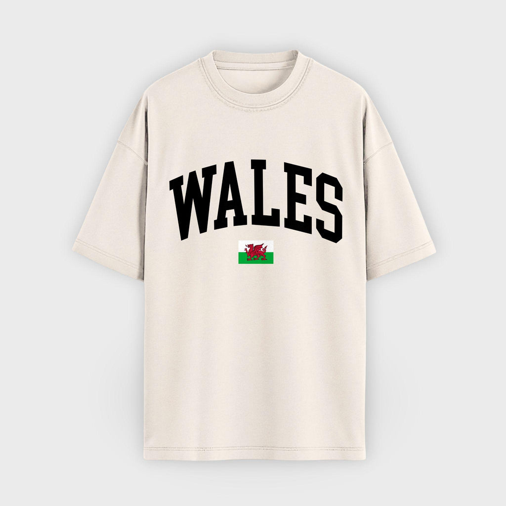 Wales Collegiate Flag T-Shirt