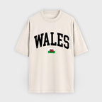 Wales Collegiate Flag T-Shirt