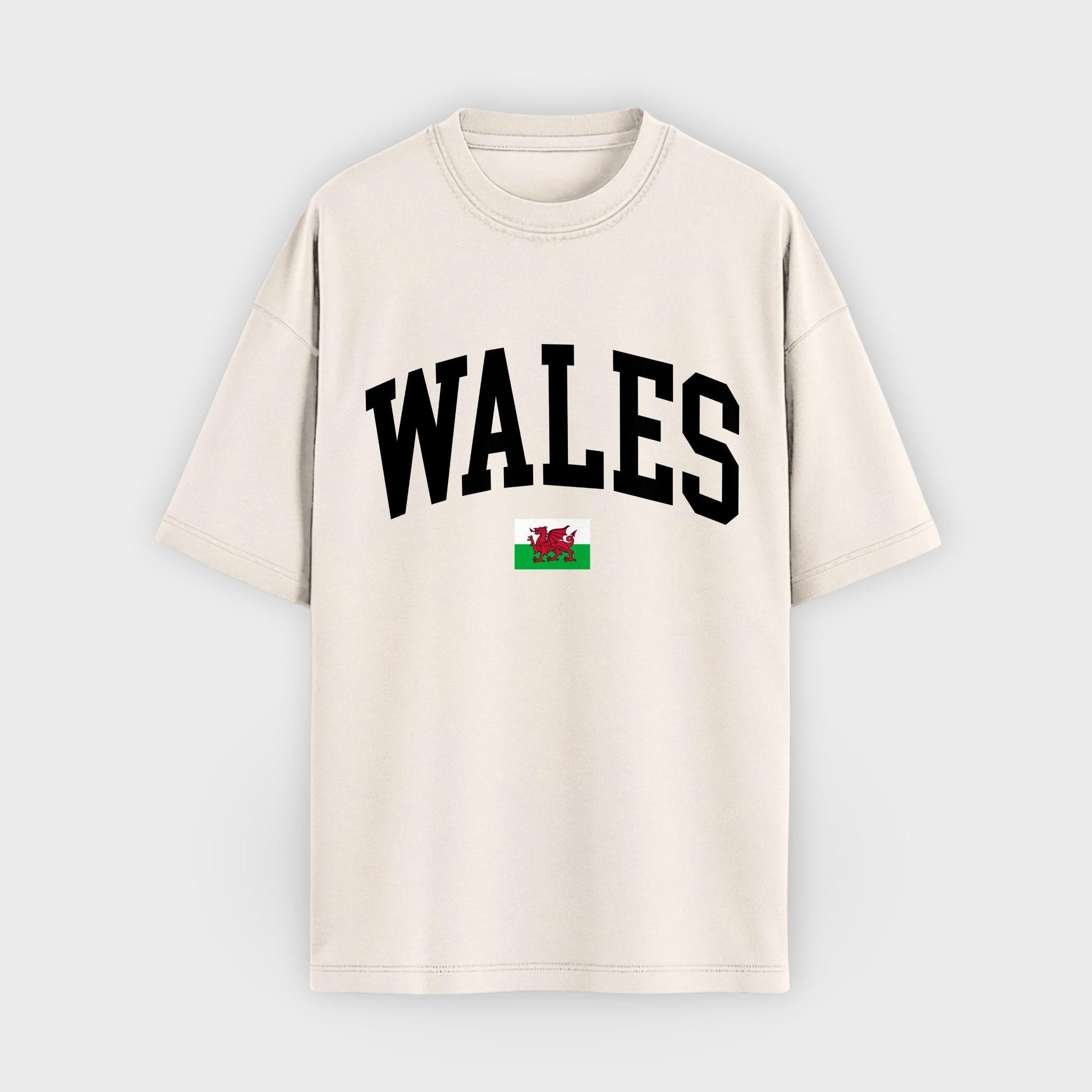 Wales Collegiate Flag T-Shirt