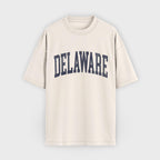 Delaware Varsity State T-Shirt