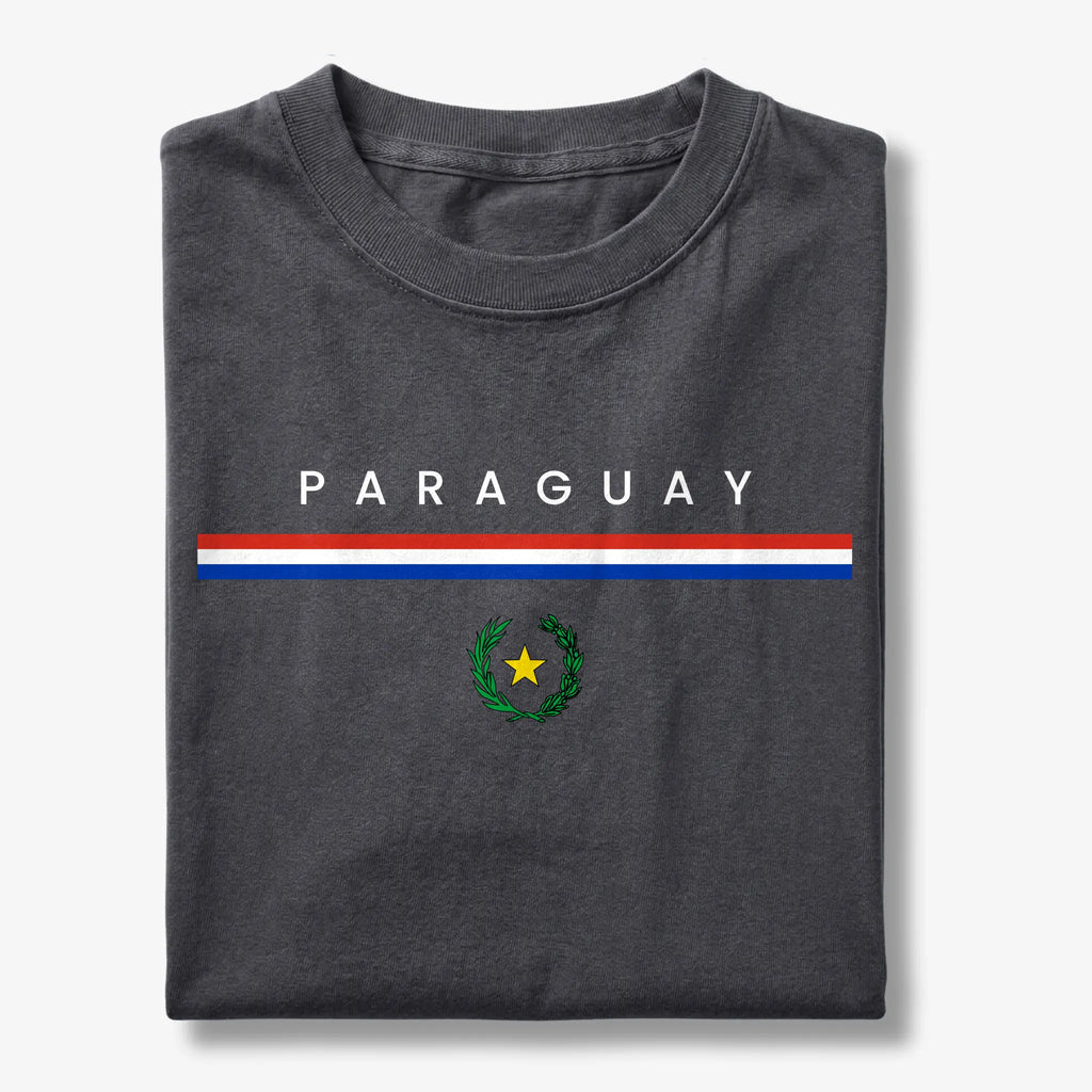 Paraguay Flagline T-Shirt