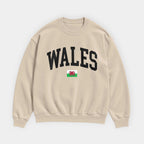Wales Collegiate Flag Sweatshirt