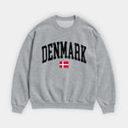 Denmark Collegiate Flag Sweatshirt