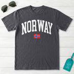 Norway Collegiate Flag T-Shirt