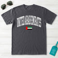 UAE Collegiate Flag T-Shirt