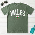 Wales Collegiate Flag T-Shirt