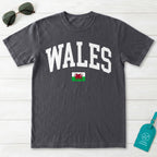Wales Collegiate Flag T-Shirt
